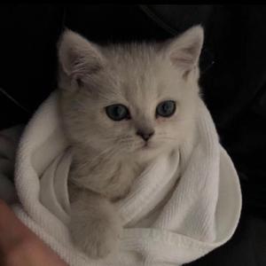 国产嫖妓一区二区三区无码
